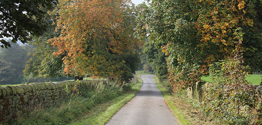 lane